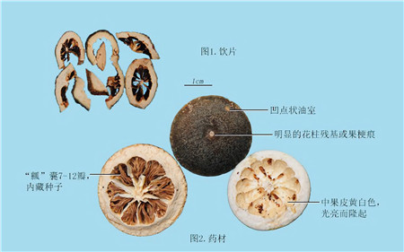 蜜麸炒香橼图片